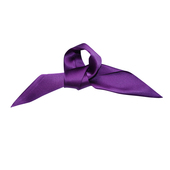 Glee 饰造型手腕巾绑发缎面小丝巾 欧美神秘紫mini装 rainbow 经典