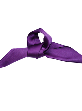 Glee rainbow 经典欧美神秘紫mini装饰造型手腕巾绑发缎面小丝巾