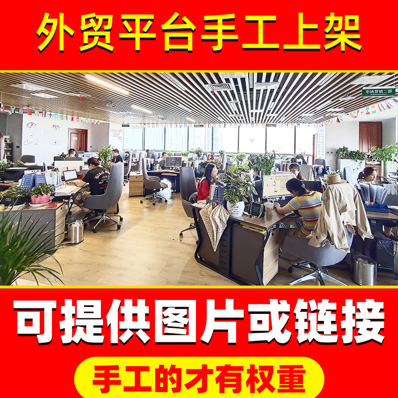 国际站代上架速卖通宝贝发布定制作小红书程序上新产品手工代上传