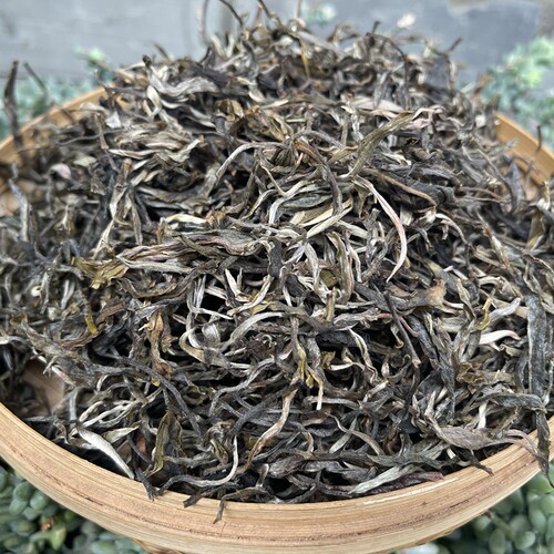 秋茶梨花谷无量山回甘