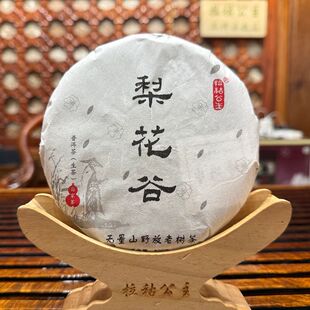 【春茶特价】2026年梨花谷野放老树普洱生茶200克饼