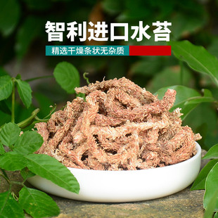 进口智利水苔 干苔藓 植料基质营养土多肉兰花食虫草蝴蝶兰专用土