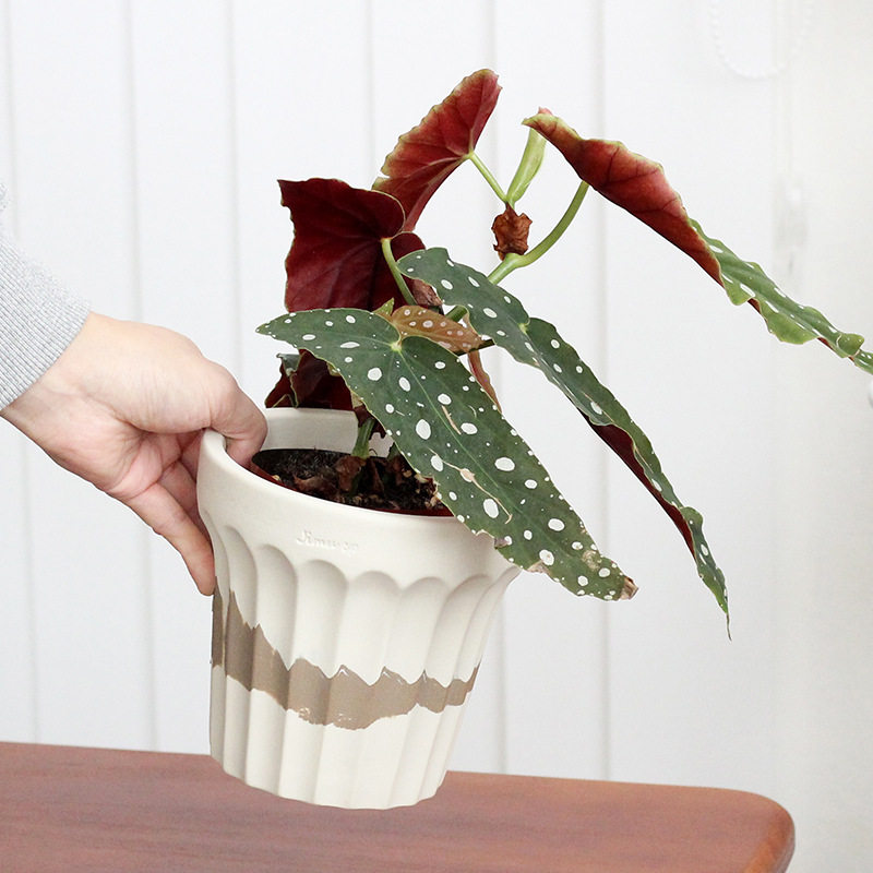 北欧创意桌面陶瓷花盆兰花网红秋海棠套盆透气绿植盆栽花卉盆器