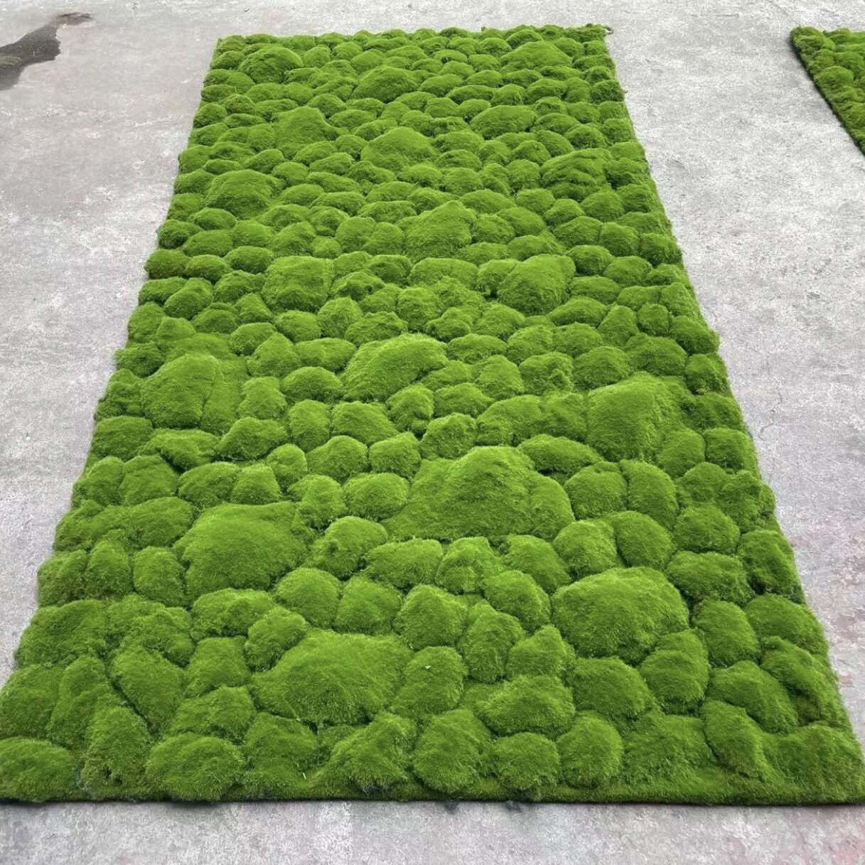 留夏植物墙配材室内景观绿化草皮仿真苔藓草皮植毛假青苔草坪摄影