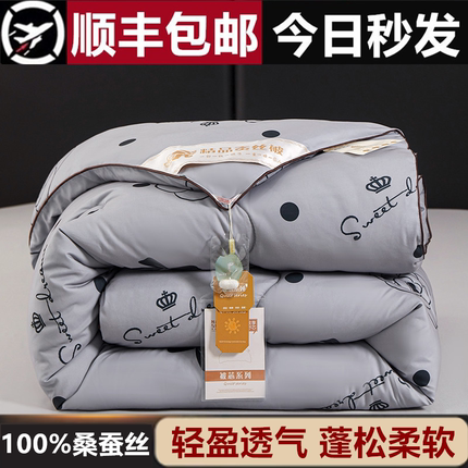 特级蚕丝被100桑蚕丝冬被子被芯加厚保暖8斤双人单人春秋被空调被