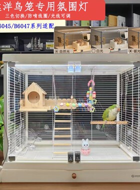 达洋B5001鸟笼氛围灯兔笼R81PRO磁吸无极调光6047三色温灯条