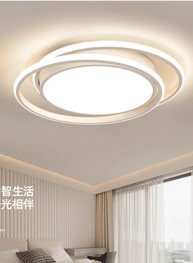 家用卧室灯艺术圆形LED吸顶灯简约现代主卧书房灯具调光吸顶灯