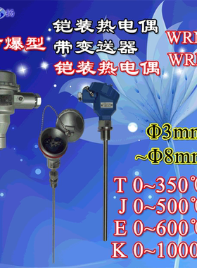 WRNK  WREK防爆型铠装热电偶,Φ3,4,5,6,8mm隔爆,WRNK2,WREK2