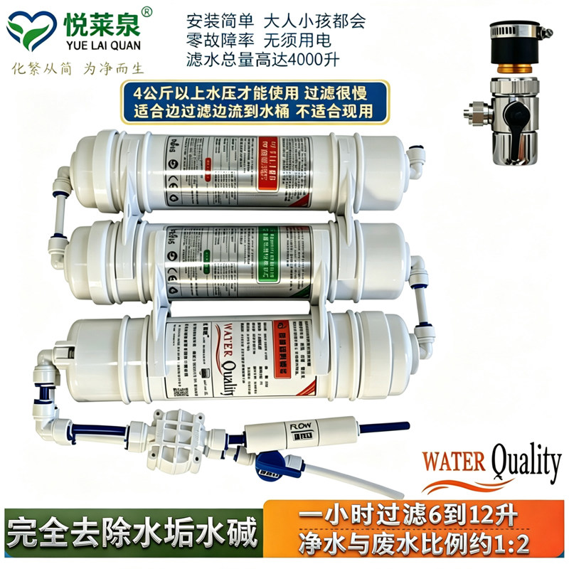 农村100G净水机反渗透纯水机直饮家用厨房净水器自来水去水垢免电