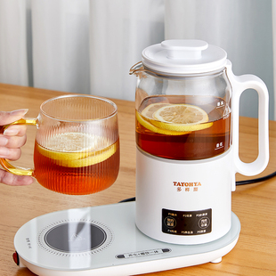 TAYOHYA/多样屋 多功能养生壶办公室小型mini煮茶烧水电热家用