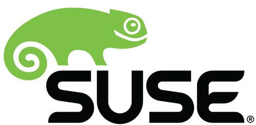 SUSE操作系统安装包光碟光盘linux镜像11SP1234安装