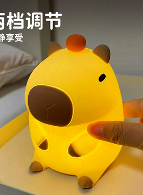 卡皮巴拉硅胶夜灯卧室调光灯床头灯充电led灯Capybara lamp拍拍灯