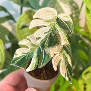 原创热植饰品 回声x植物魔法 白锦龟背竹 克莱恩花烛 刺绣胸针
