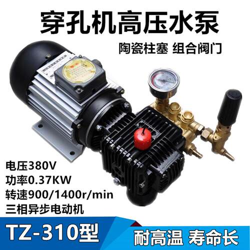 速力穿孔机小流量高压水泵TZ-310