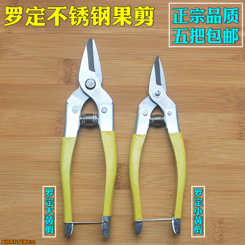 正品罗定不锈钢果剪采砂糖橘小黄剪刀摘果剪小大号圆头果子剪包邮