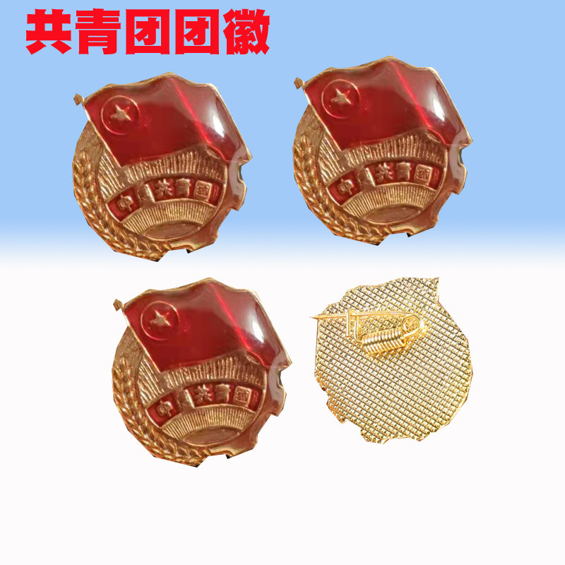 标准型共青团团徽胸针学生用团徽别针式学校青年团员徽章入团胸章
