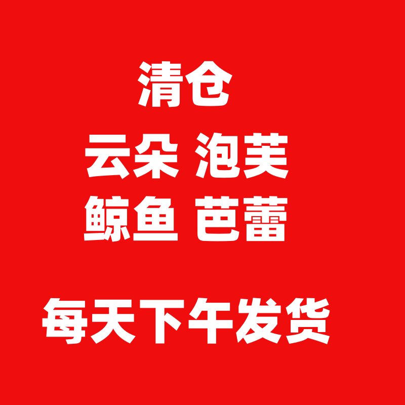 云朵泡芙鲸鱼芭蕾清仓，高品质洞洞鞋！完美主义勿拍！图片