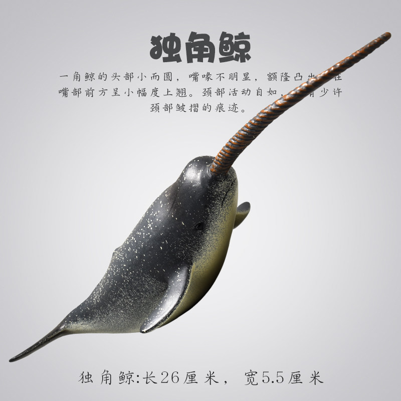 大号独角鲸