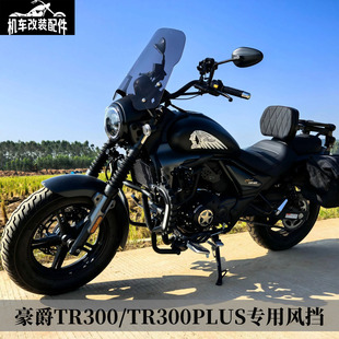 适用豪爵TR300plus改装配件原厂都市版旅行版挡风罩挡风板风挡