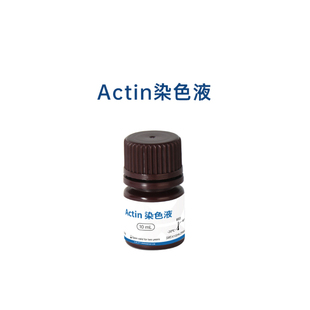 15min完成Actin染色液6T–15T / Actin染色液30T–75T 艾克生命