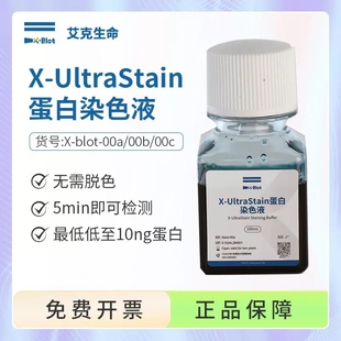 WB电泳转膜实验X-UltraStain蛋白染色液无需脱色5min即可检测