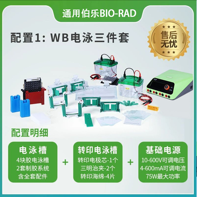 通用伯乐Bio-Rad小型垂直电泳槽蛋白槽电泳仪wb转印电泳槽电源