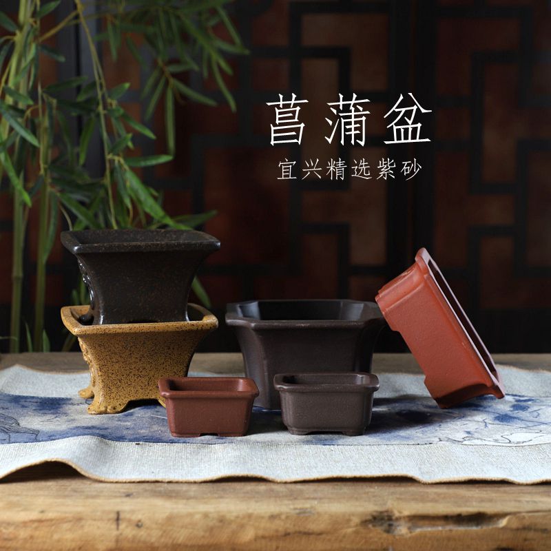 自在屋精选紫砂花盆小号桌面菖蒲绿植盆景摆件LY系列多款可选宜兴