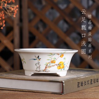 自在屋精品陶瓷釉盆DY020#云足瓢口浅圆/贴画柿子绿植盆景多肉花