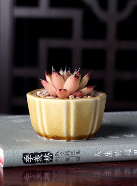 暖暖花器花盆精品拇指竖条八方