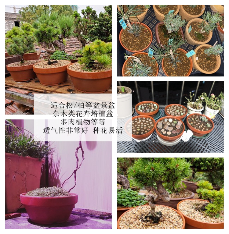 红陶花盆/5件套/套盆不单卖