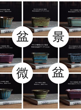 微型盆景盆绿植个性透气长方盆