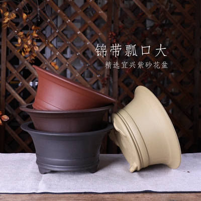 自在屋精选紫砂小花盆锦带瓢口大圆形桌面绿植盆景金弹子简约中式