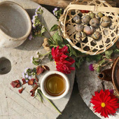 沃三衢常山茶油土榨茶油压榨野生常山茶油国家油茶浙江好礼农家油