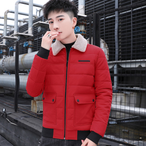 冬季男士羊羔绒翻领棉衣短款外套修身羽绒棉服加厚棉衣827-P65图片