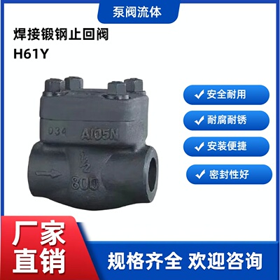 H61Y-150LB-800LB锻钢A105焊接卧式止回阀承插焊蒸汽单向阀