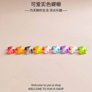 微景观创意卡通可爱呆呆小蝾螈 装饰品配件办公室桌面迷你小摆件