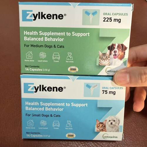 Zylkene宠物安抚情放松不嗜睡