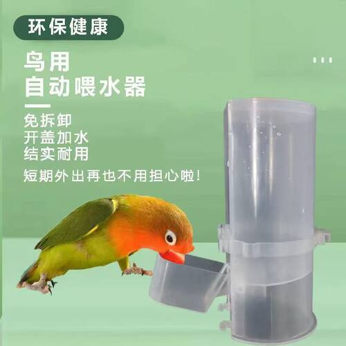 新款鸽子自动喂水杯鹦鹉鸟用信鸽饮水器自动水壶芦丁鸡用品用具