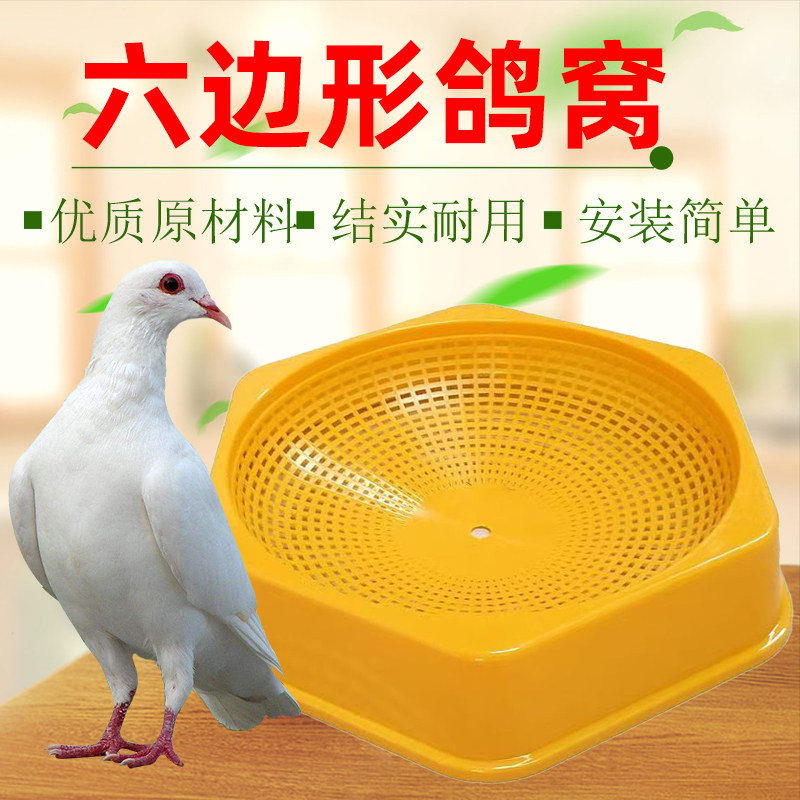 鸽子用品用具蛋窝防侧翻养殖塑料草窝孵蛋信鸽种鸽巢盆鸽子窝塑料