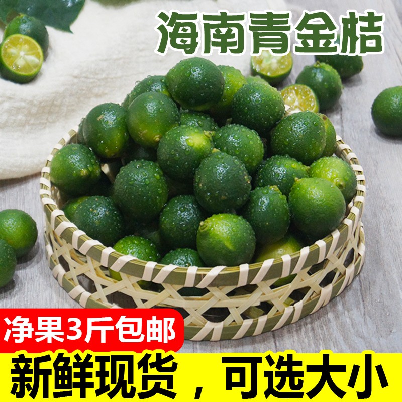 海南小金桔新鲜青金桔小金桔5斤装包邮青绿金橘小青桔柠檬坏包赔