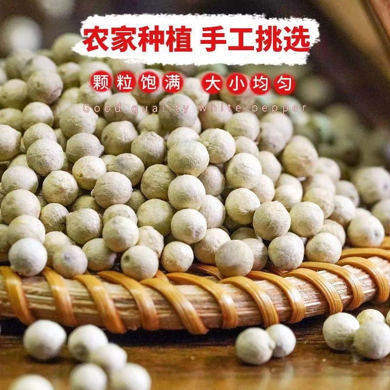 包邮海南特产特级白胡椒颗粒可打散粉调料商用家用精品白胡椒