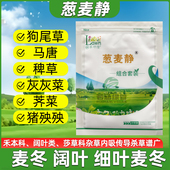 葱麦静麦冬草坪除草剂马唐香附子小飞蓬茅草尖阔叶杂草除杂草神剂