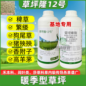 啶嘧磺隆草坪隆12号暖季 型草坪百慕大台湾草除杂草剂阔尖叶香附子