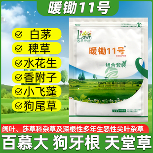 暖锄11号草坪除草剂百慕大狗牙根马尼拉马唐茅草阔尖叶除杂草剂