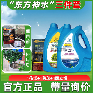 劳恩格润东方神水套装草坪复壮佑活萌茂腐殖酸氨基酸海藻水溶肥