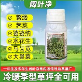 草坪隆阔叶净除草剂2甲氯氟吡马尼拉百慕大一年生阔叶杂草除草剂