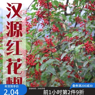 大红袍花椒四川汉源花椒粉干红花椒红麻椒浓香醇麻 特麻特香红花