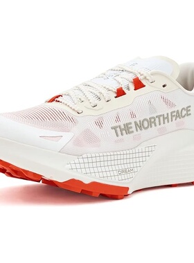 the north face海外代购 男款 运动户外鞋徒步鞋 Altamesa 500