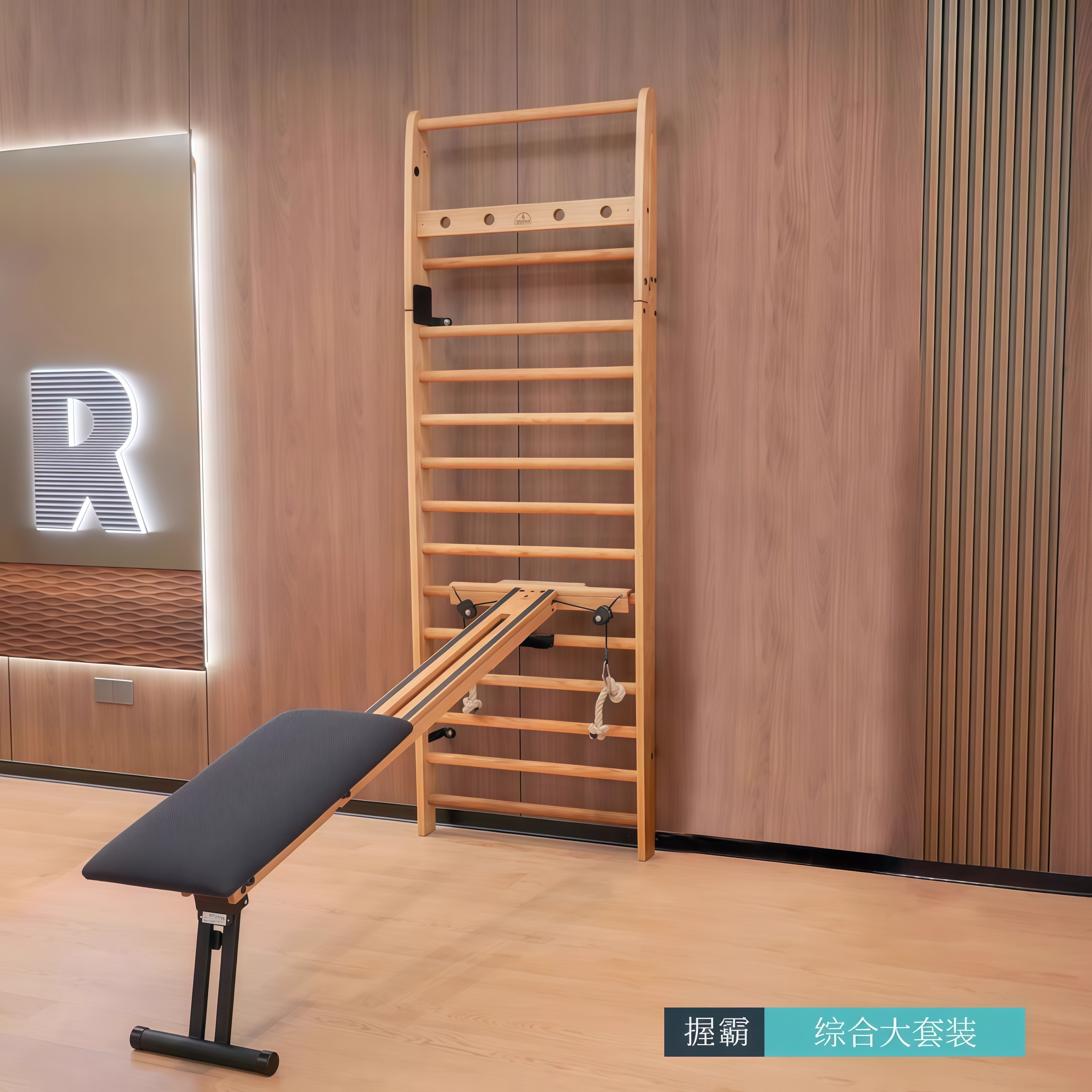 Nohrd德国肋木架套装家用健身器材室内健身房器械引力综合训练器