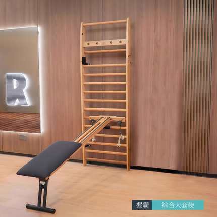 Nohrd德国肋木架套装家用健身器材室内健身房器械引力综合训练器